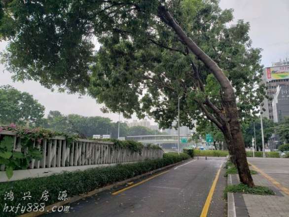 近深圳中心公园，尽享城市“绿肺”生态资源，享有香港河