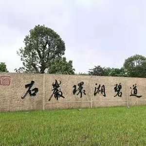 深圳石岩新房楼盘图片